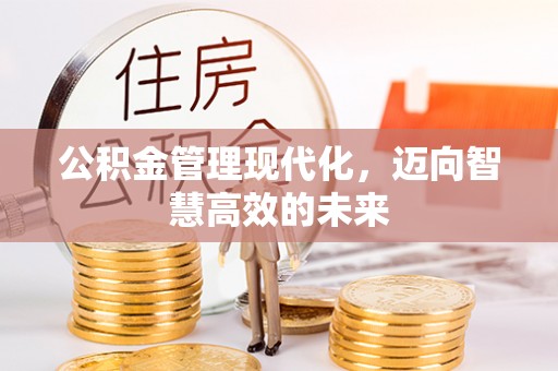 济南公积金管理现代化，迈向智慧高效的未来